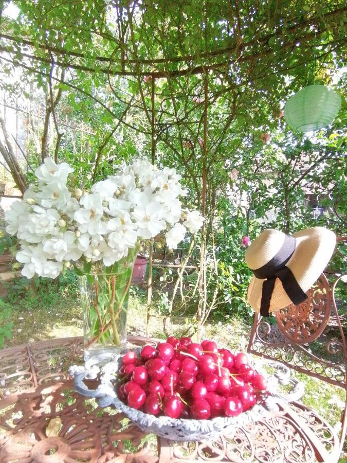 Chambre D'Hotes Les Magnolias Pontpierre ภายนอก รูปภาพ