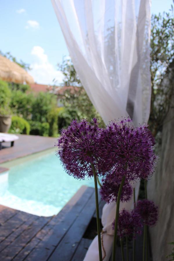 Chambre D'Hotes Les Magnolias Pontpierre ภายนอก รูปภาพ