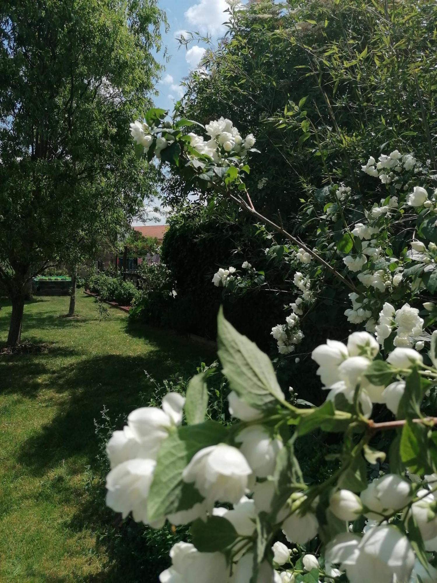 Chambre D'Hotes Les Magnolias Pontpierre ภายนอก รูปภาพ